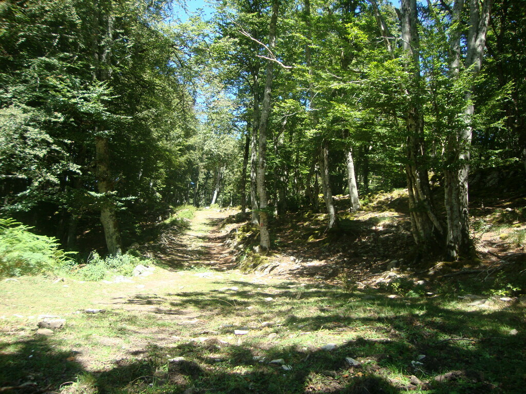 No s'ha trobat l'arxiu